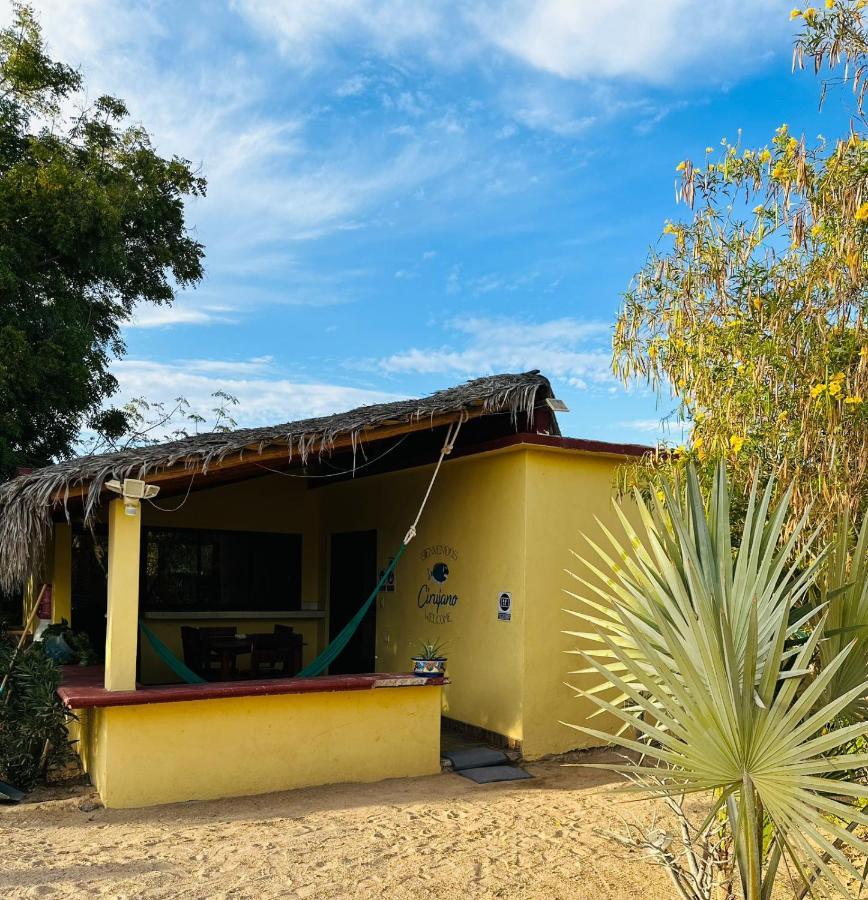 Appartamento Bungalow Cirujano Cabo Pulmo Esterno foto